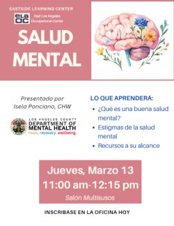 Salud Mental Workshop